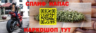 спайс Будённовск