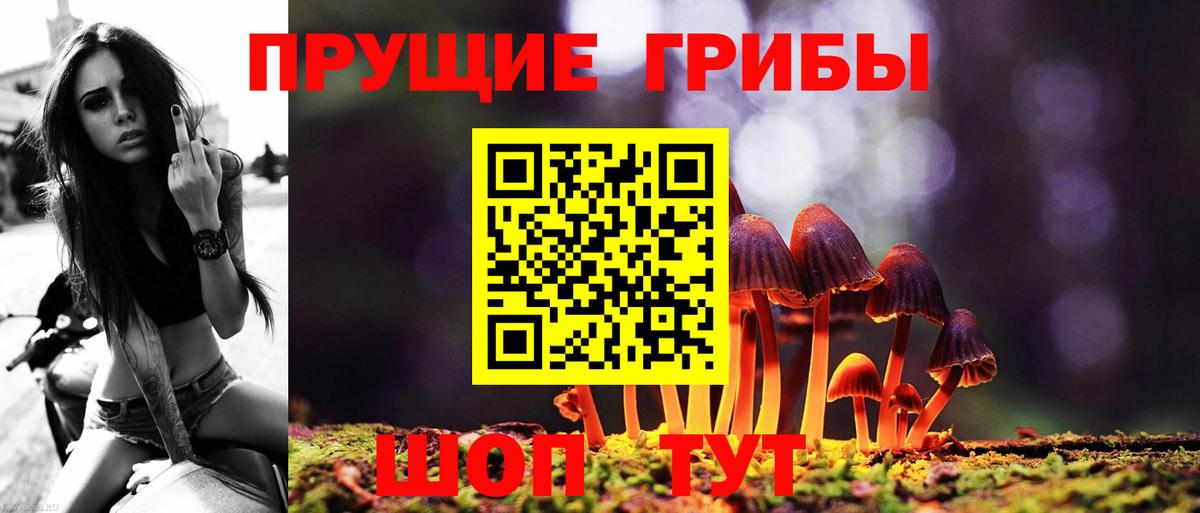 Меф Новосибирск